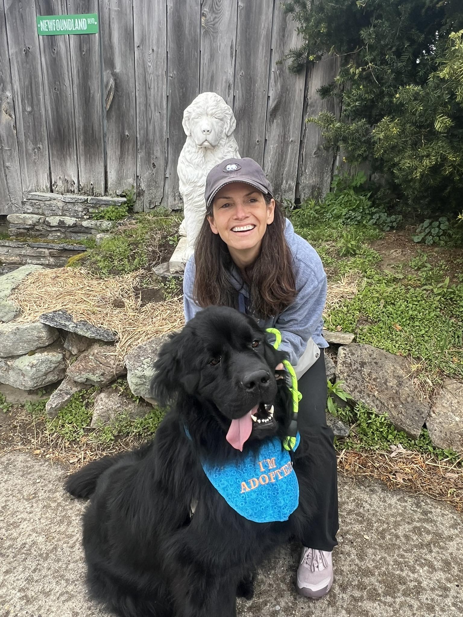 Happy Tails - That NewFoundLand Place